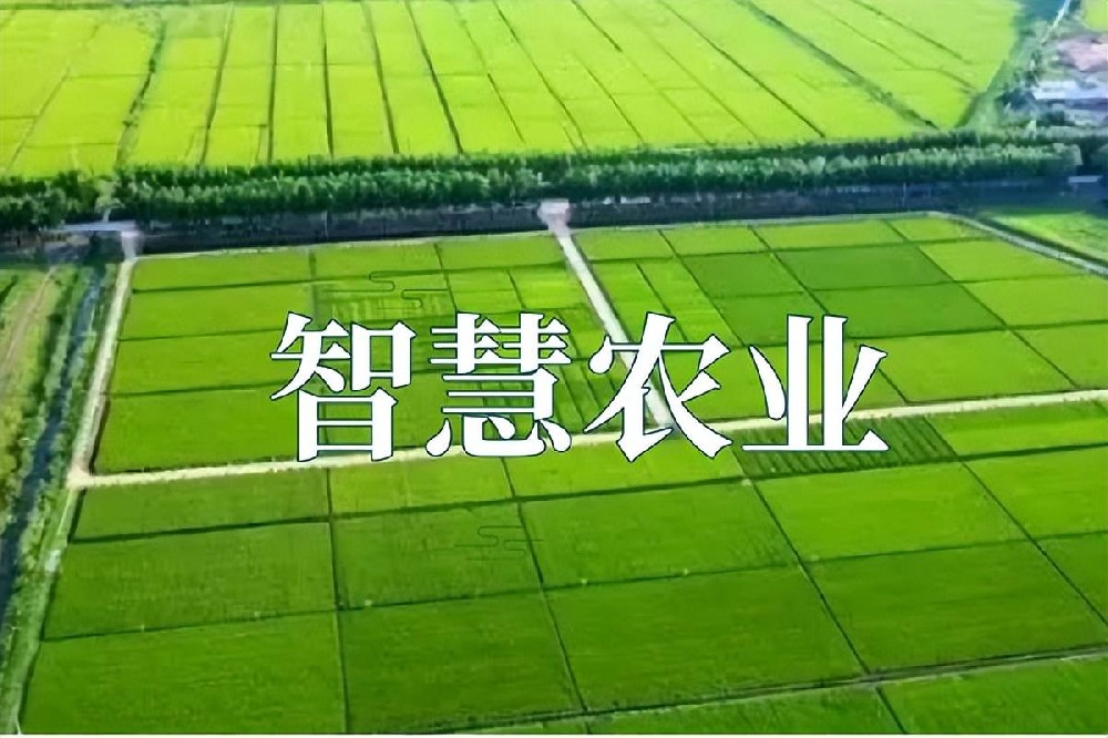 智慧农田